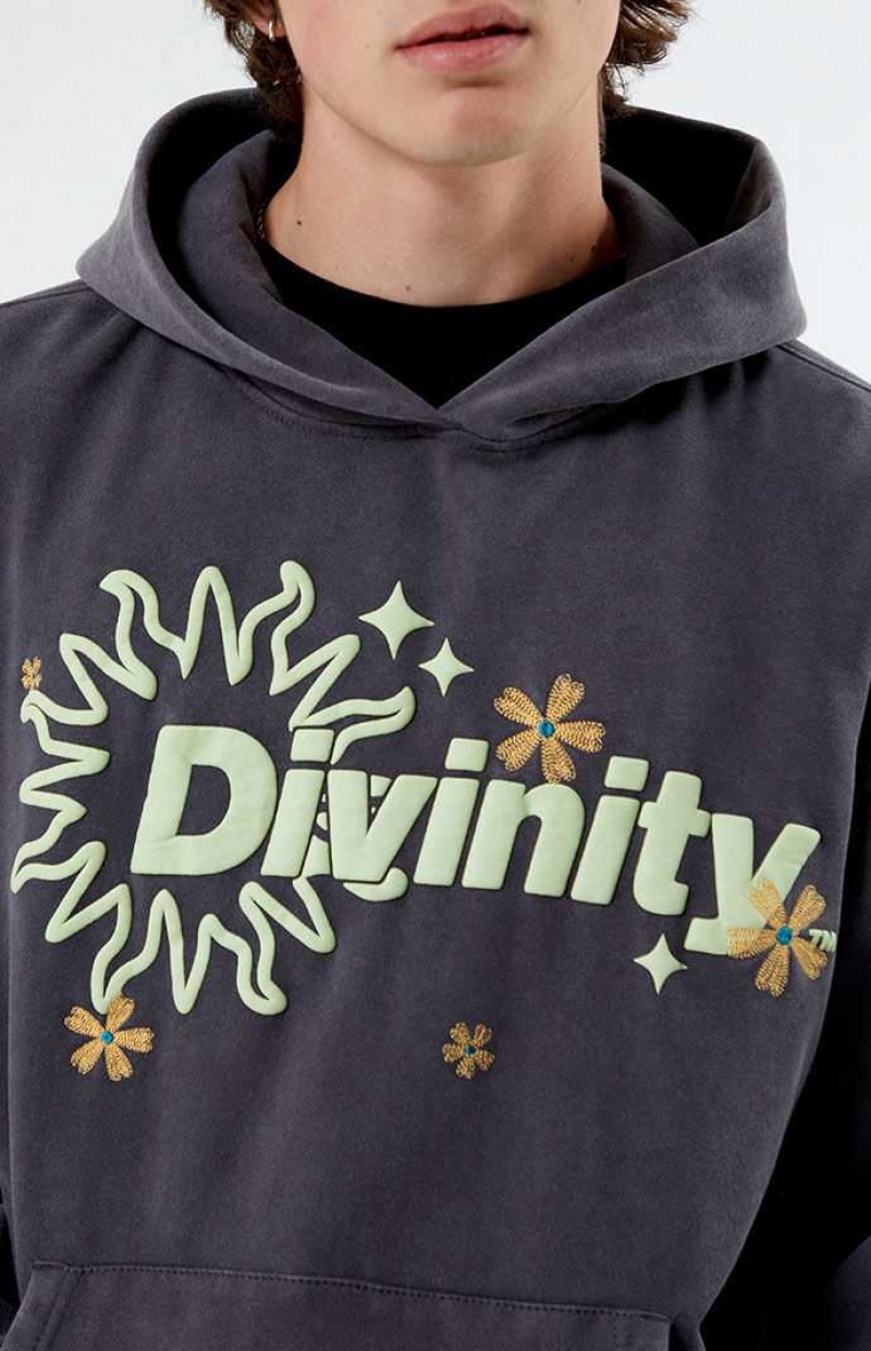 Sweat a Capuche PacSun Divinity Homme IRON | 357419UGA