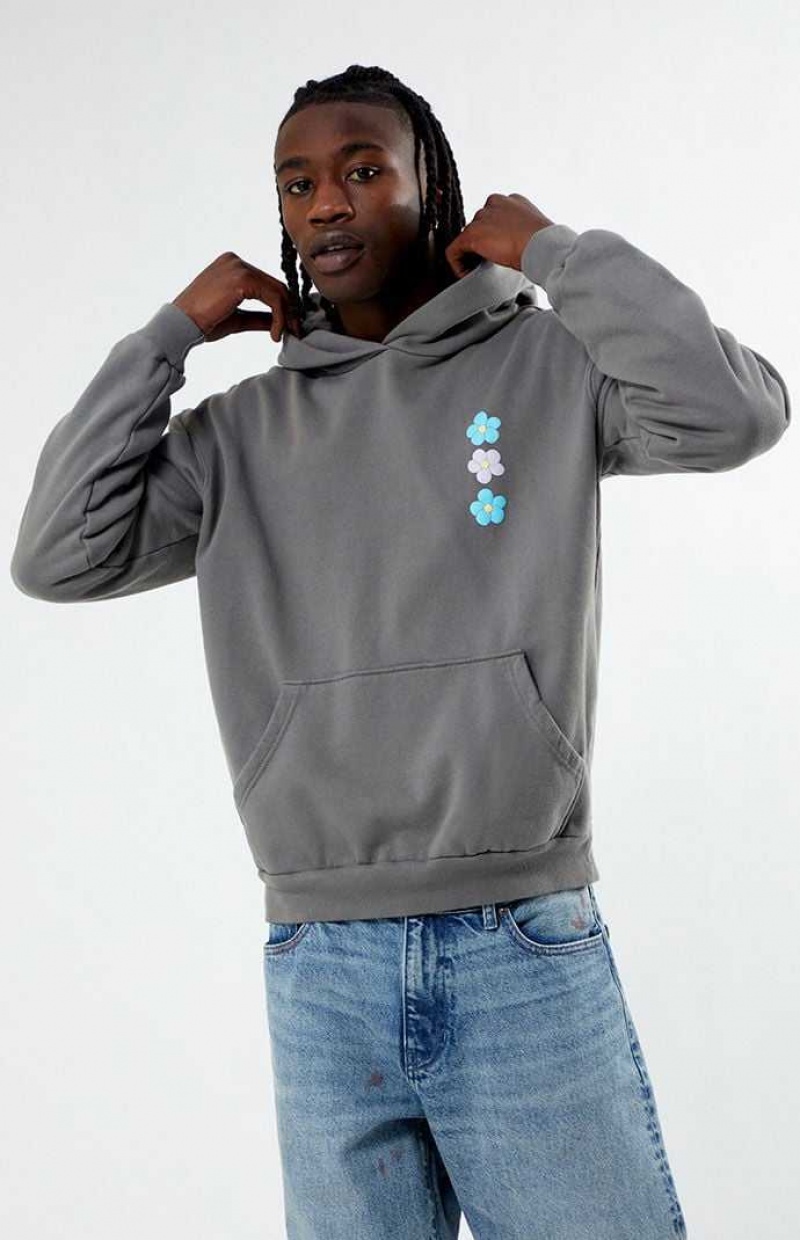 Sweat a Capuche PacSun Flourish Homme Grise | 957834LYF