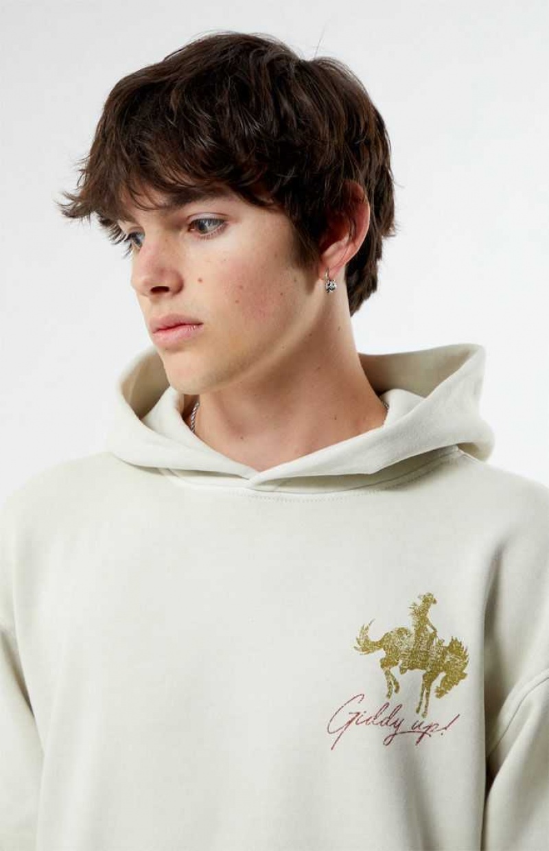 Sweat a Capuche PacSun Giddy Up Homme CEMENT | 123495PUT