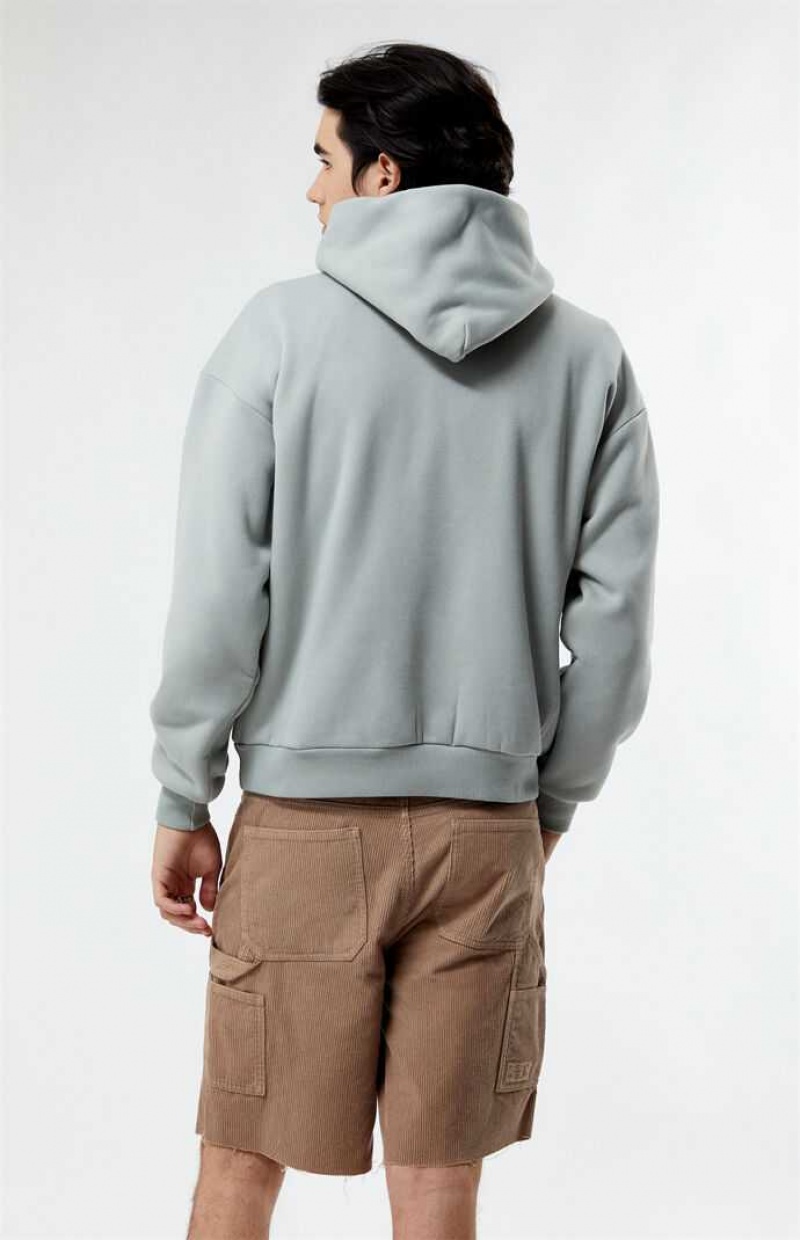 Sweat a Capuche PacSun Gray Solid Homme Grise | 538760OXI