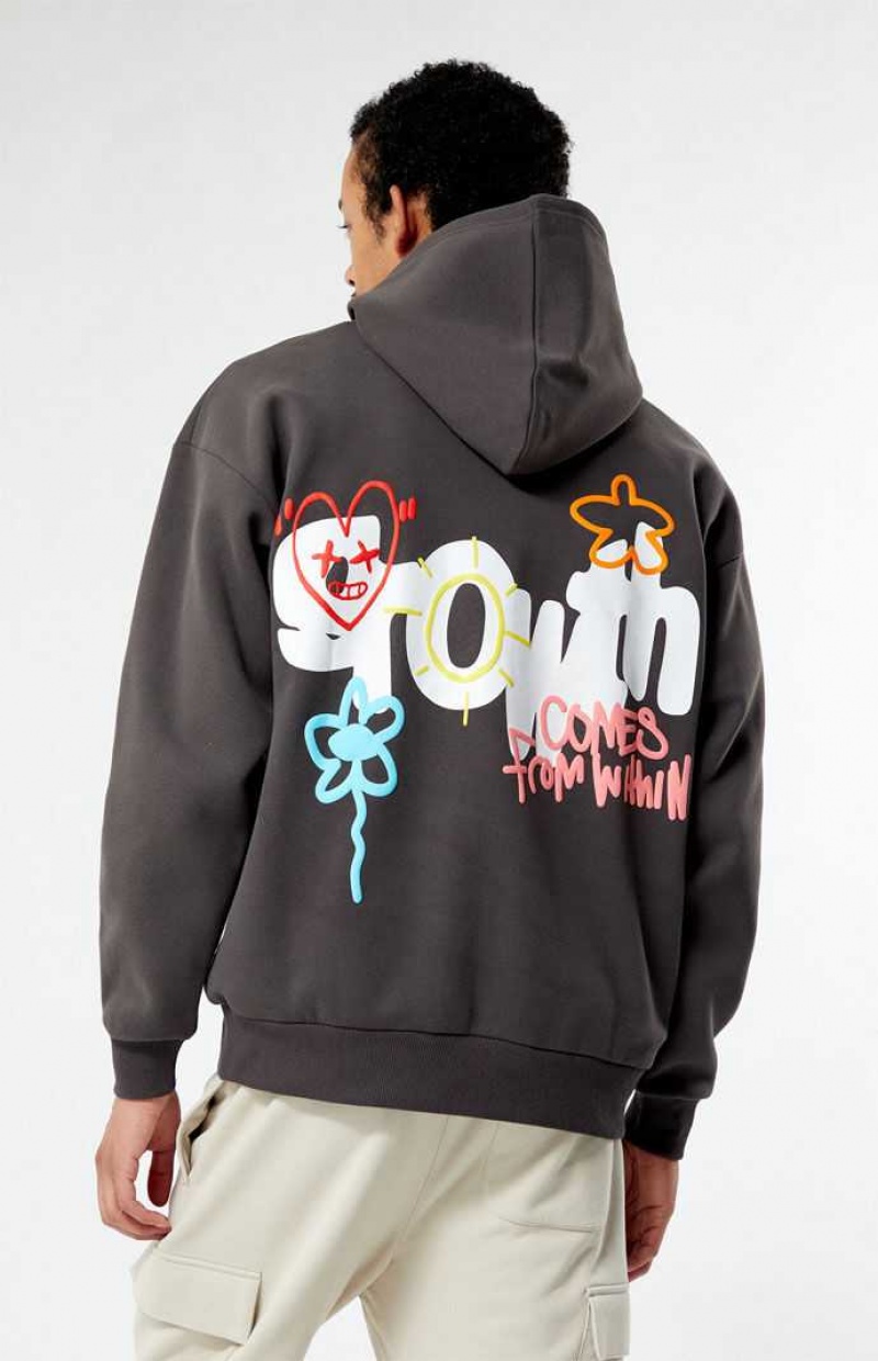 Sweat a Capuche PacSun Home Grown Homme Grise | 623194BIJ