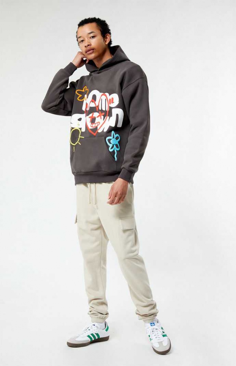 Sweat a Capuche PacSun Home Grown Homme Grise | 623194BIJ