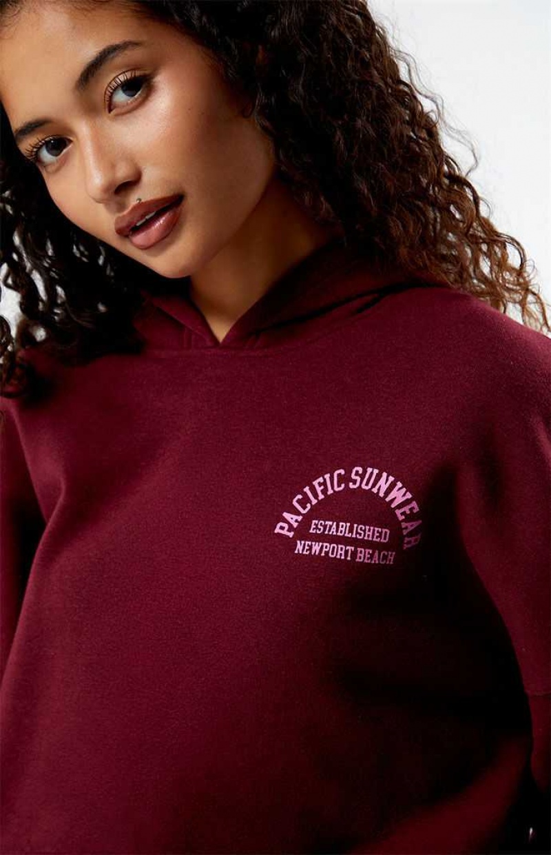 Sweat a Capuche PacSun Pacific Sunwear Arch Bubble Cropped Femme Bordeaux | 296054VAK