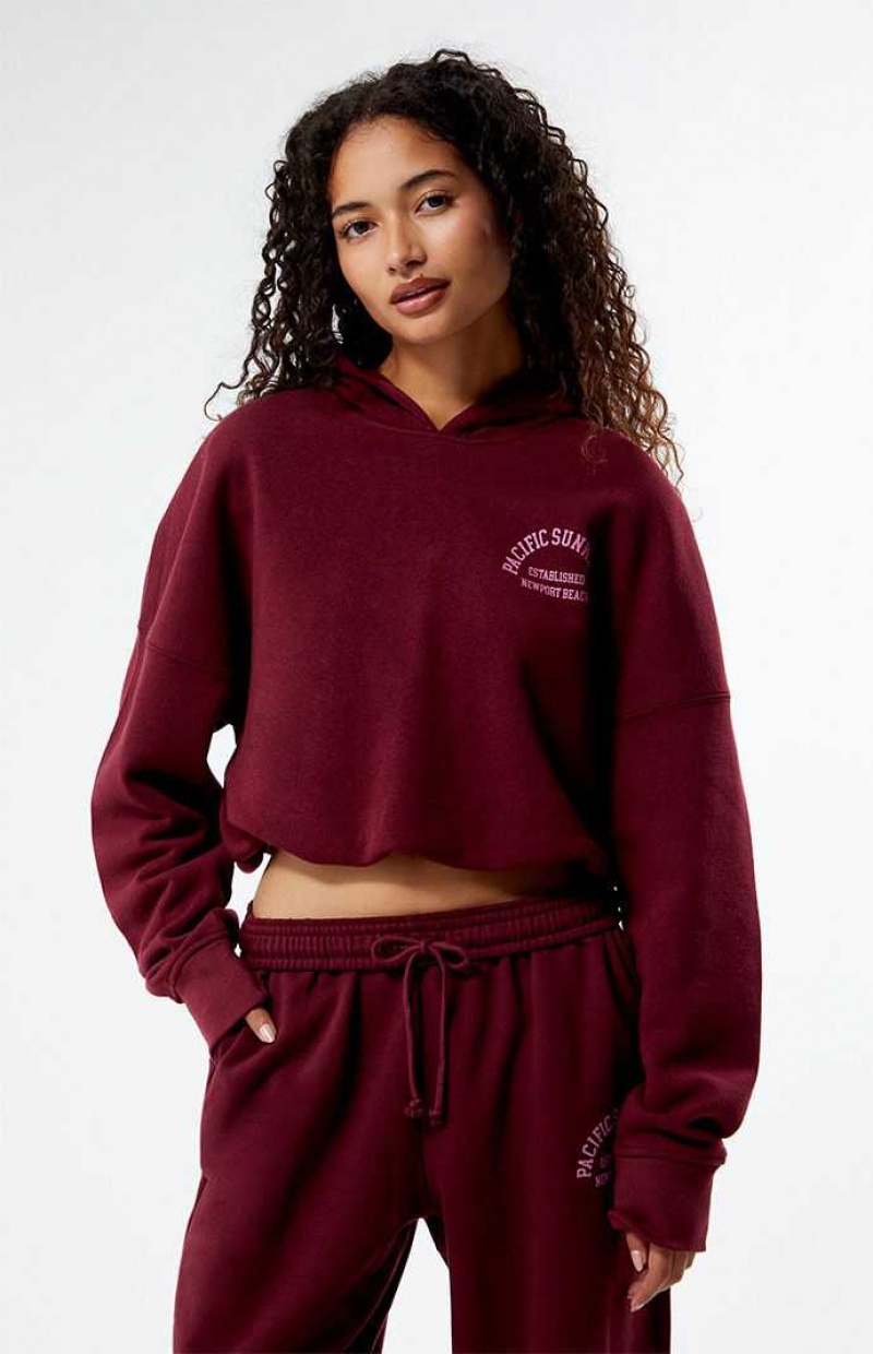 Sweat a Capuche PacSun Pacific Sunwear Arch Bubble Cropped Femme Bordeaux | 296054VAK