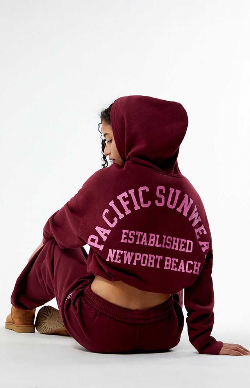 Sweat a Capuche PacSun Pacific Sunwear Arch Bubble Cropped Femme Bordeaux | 296054VAK