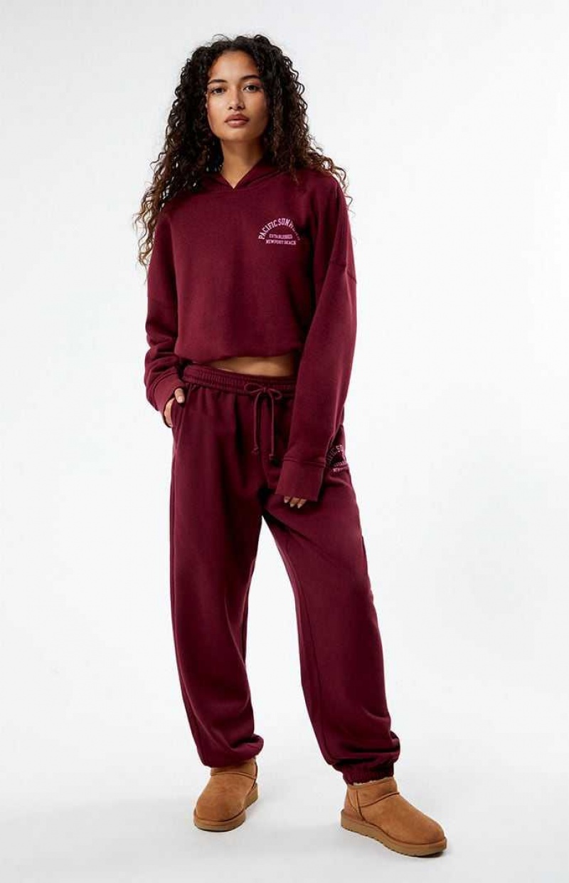 Sweat a Capuche PacSun Pacific Sunwear Arch Bubble Cropped Femme Bordeaux | 296054VAK