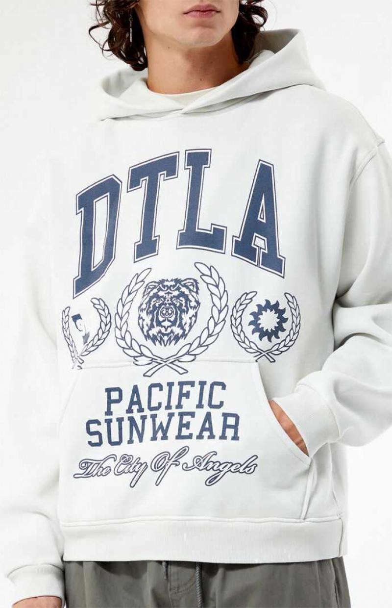 Sweat a Capuche PacSun Pacific Sunwear DTLA Collegiate Homme Blanche | 893014QCK