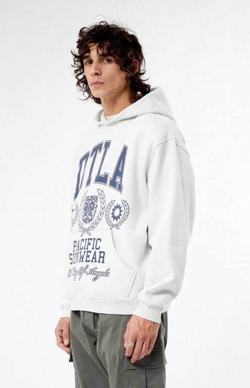 Sweat a Capuche PacSun Pacific Sunwear DTLA Collegiate Homme Blanche | 893014QCK