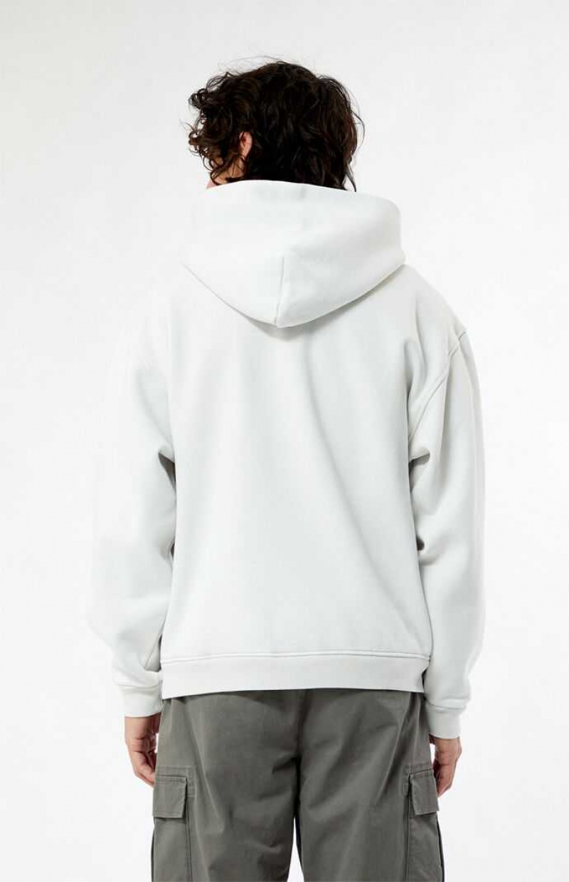 Sweat a Capuche PacSun Pacific Sunwear DTLA Collegiate Homme Blanche | 893014QCK