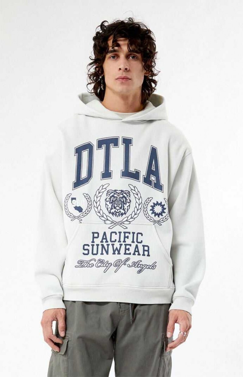 Sweat a Capuche PacSun Pacific Sunwear DTLA Collegiate Homme Blanche | 893014QCK