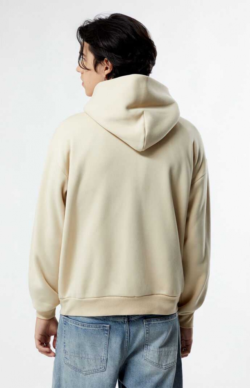 Sweat a Capuche PacSun Solid Homme FOG | 157903NLR