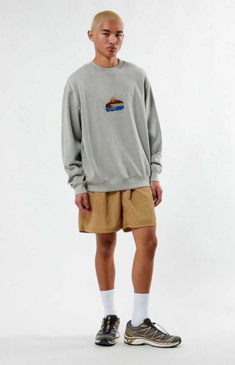 Sweats PacSun Monterey Bay Crew Neck Homme Grise | 843105SDG