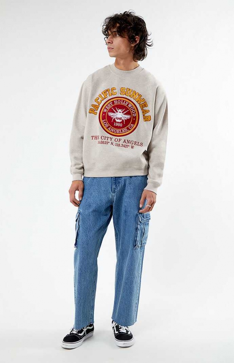 Sweats PacSun Pacific Sunwear Chenille Crew Neck Homme Grise | 760984TNJ