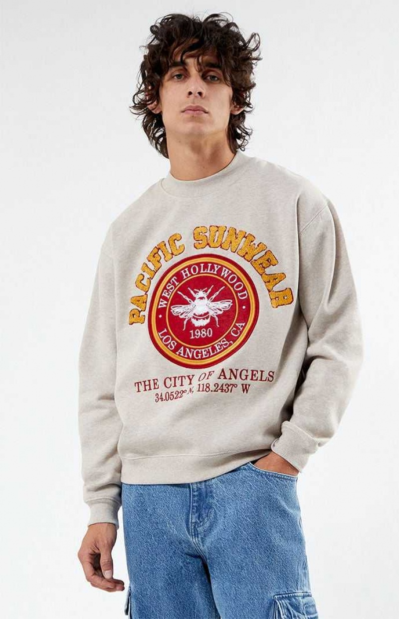 Sweats PacSun Pacific Sunwear Chenille Crew Neck Homme Grise | 760984TNJ