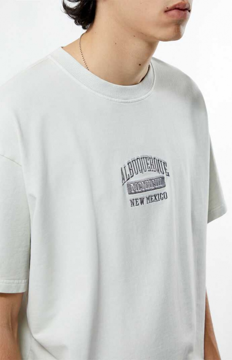 T-shirt PacSun Albuquerque New Mexico Embroidered Homme Blanche | 159460LOU