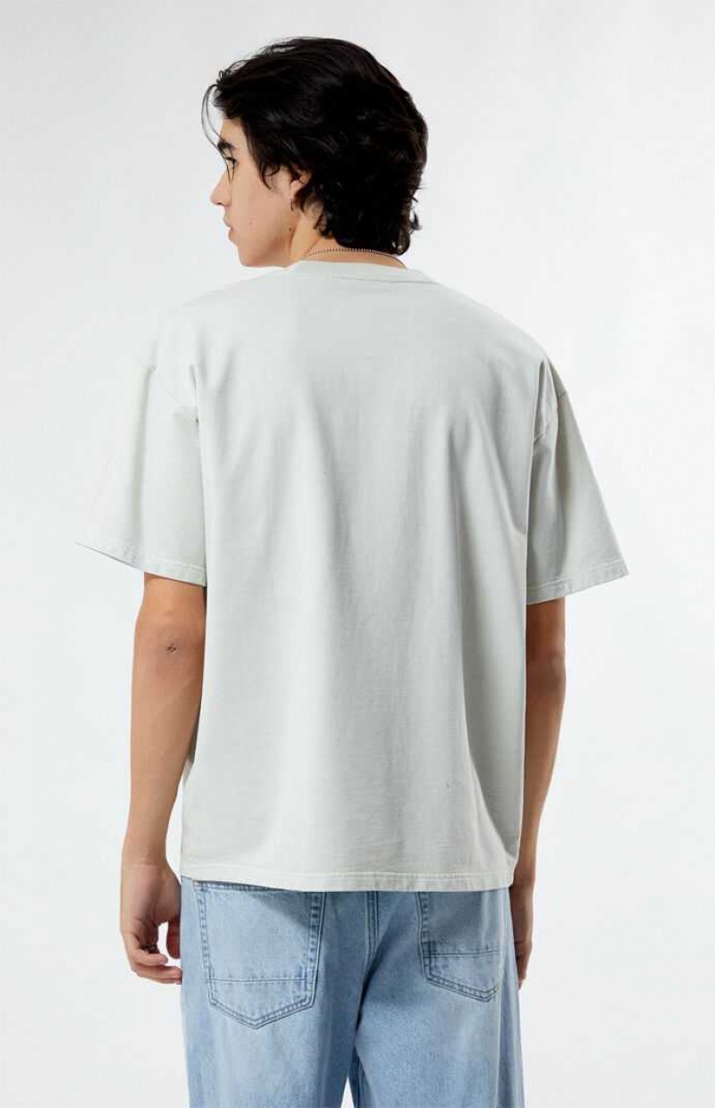 T-shirt PacSun Albuquerque New Mexico Embroidered Homme Blanche | 159460LOU