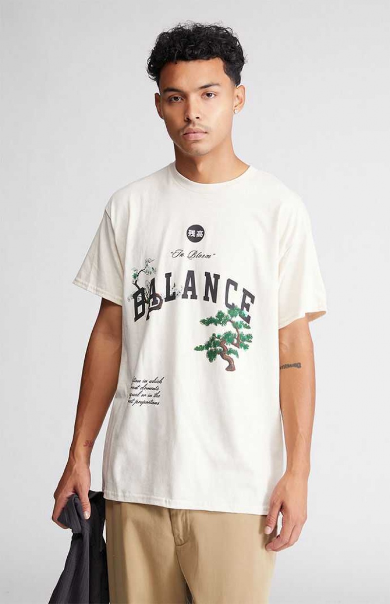 T-shirt PacSun Balance Homme Blanche | 472603FTO