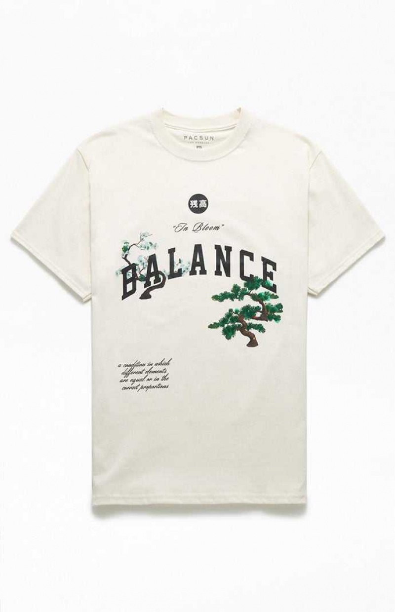 T-shirt PacSun Balance Homme Blanche | 472603FTO