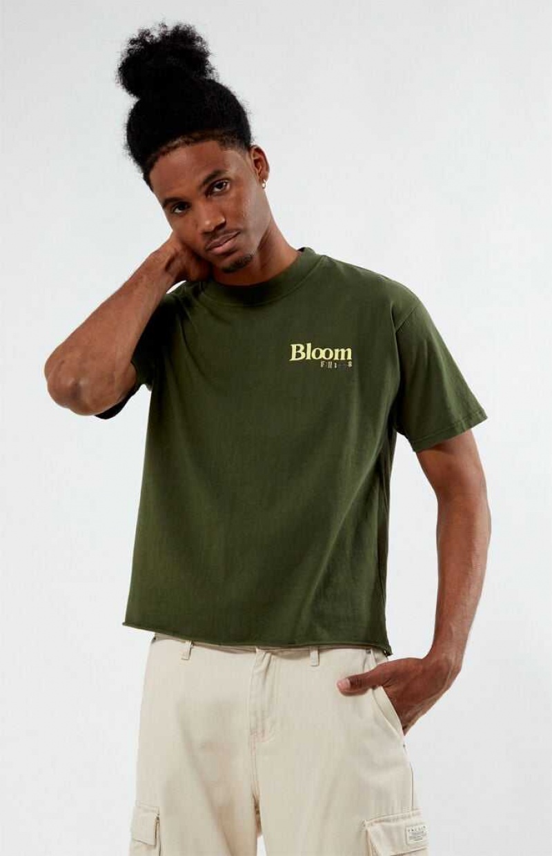 T-shirt PacSun Bloom Cropped Homme Vert Olive | 925401QUJ