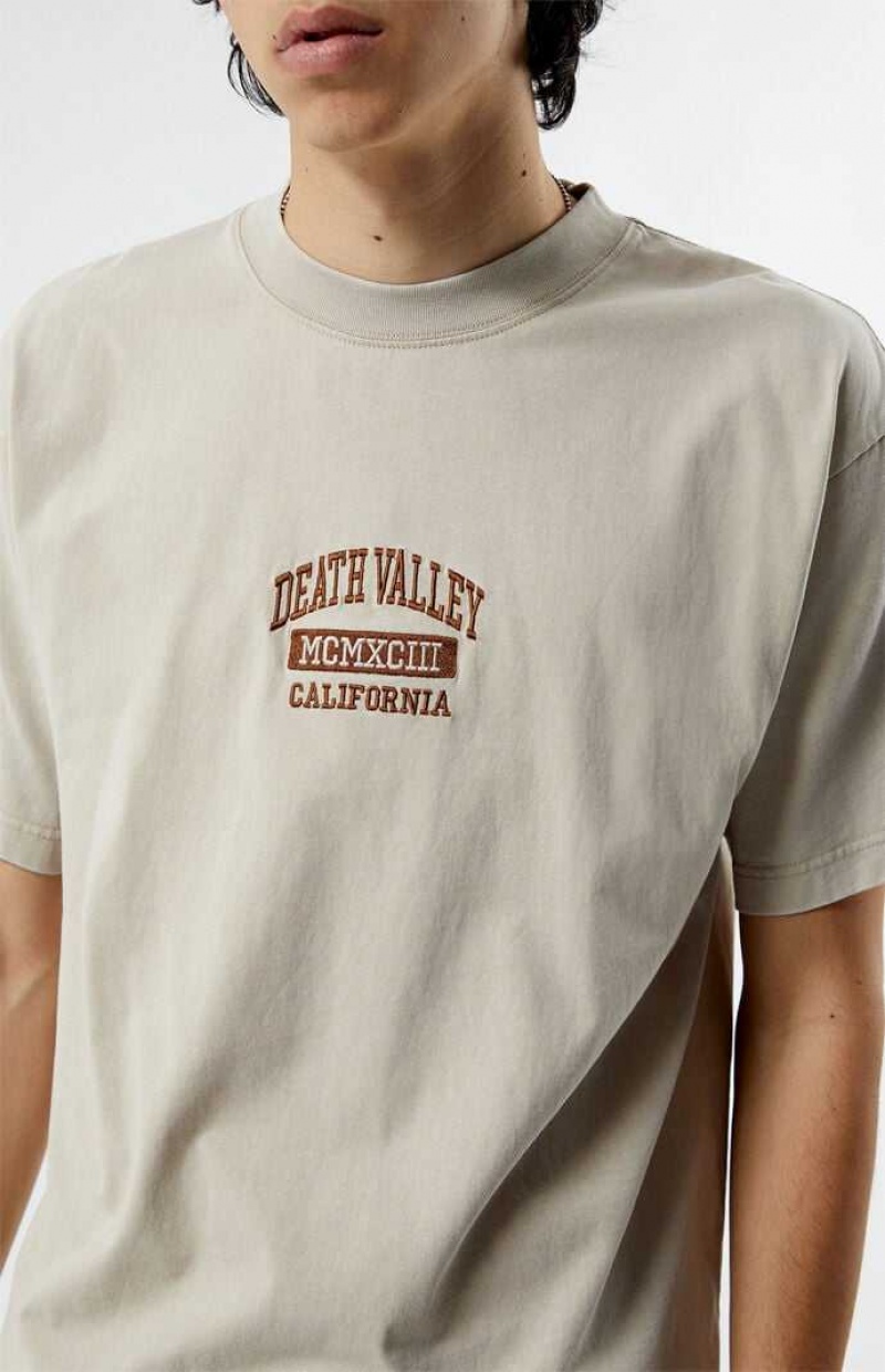 T-shirt PacSun Death Valley Embroidered Homme Marron | 295086DGC