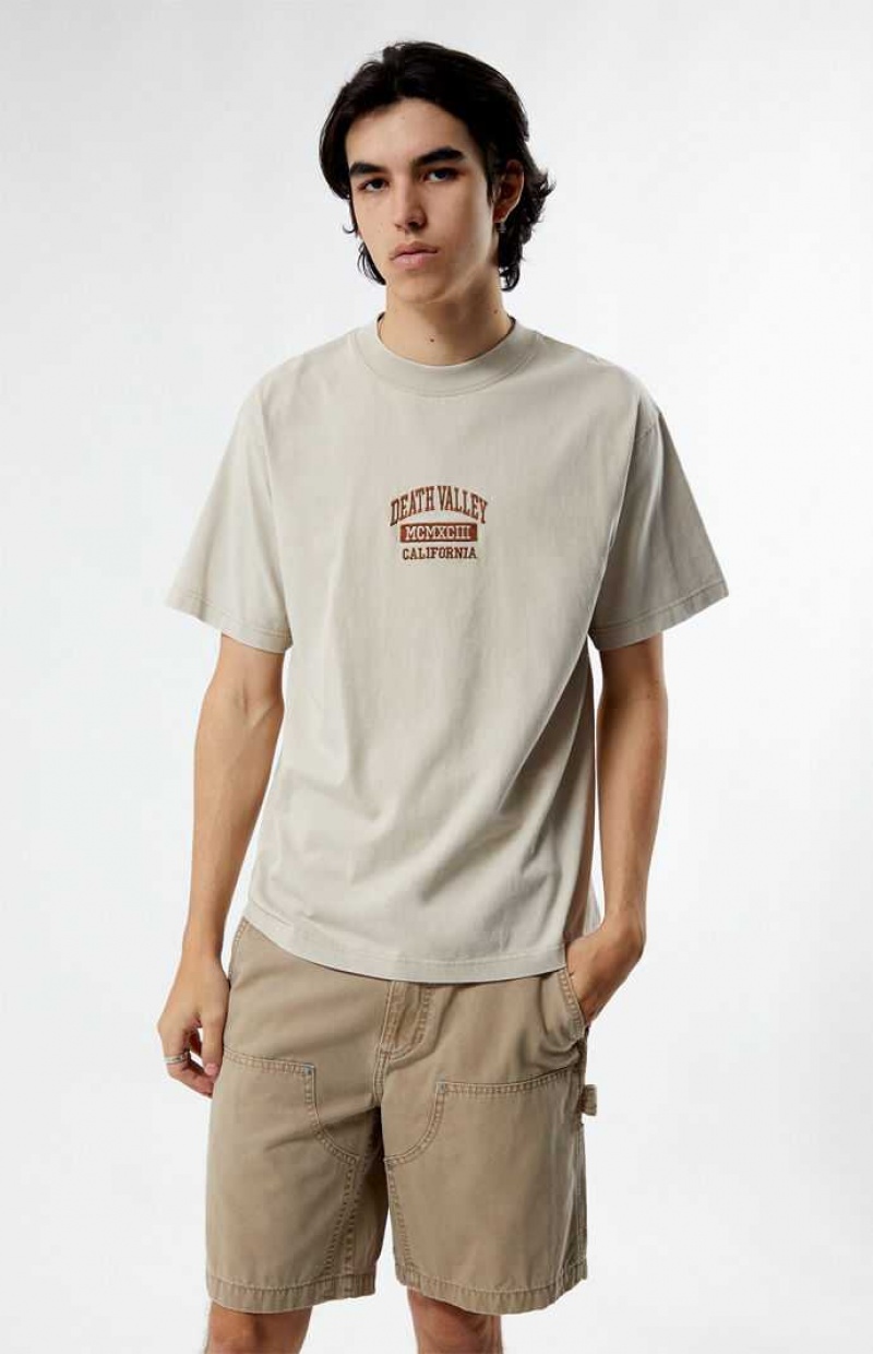 T-shirt PacSun Death Valley Embroidered Homme Marron | 295086DGC