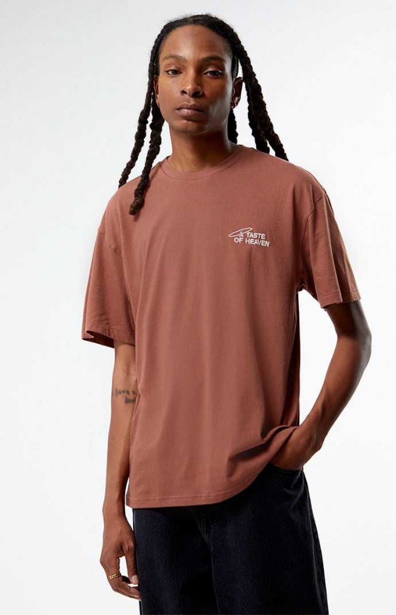 T-shirt PacSun Eco A Taste of Heaven Embroidered Homme MINK | 790135BHT