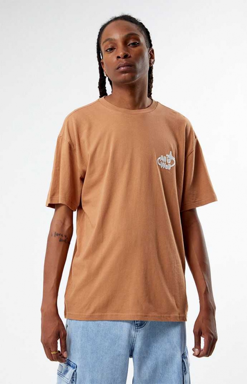 T-shirt PacSun Eco All Is Well Embroidered Homme Marron | 169504URP