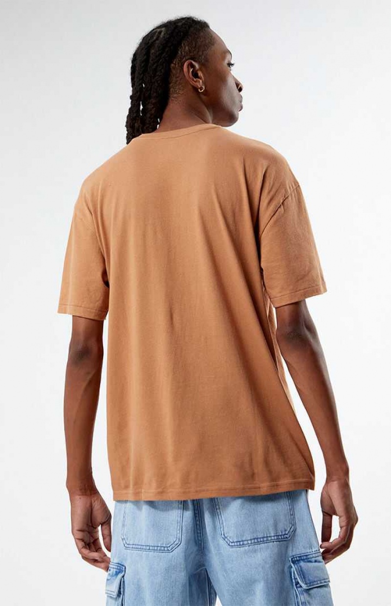 T-shirt PacSun Eco All Is Well Embroidered Homme Marron | 169504URP