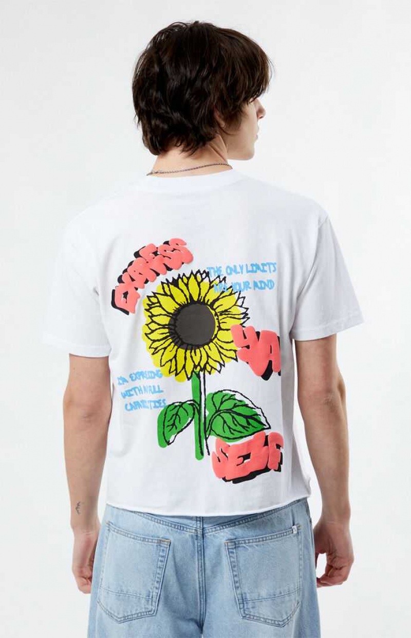 T-shirt PacSun Express Ya Self Cropped Homme Blanche | 891634VWI