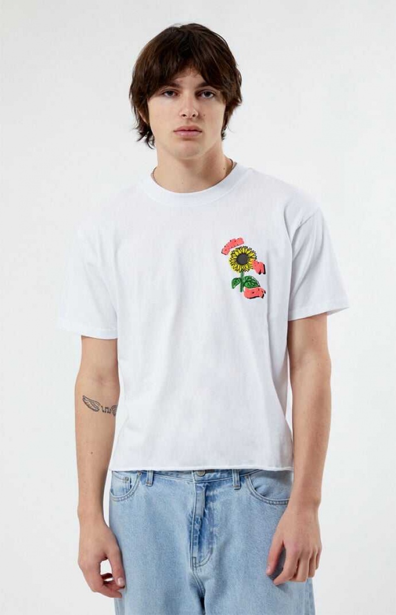 T-shirt PacSun Express Ya Self Cropped Homme Blanche | 891634VWI