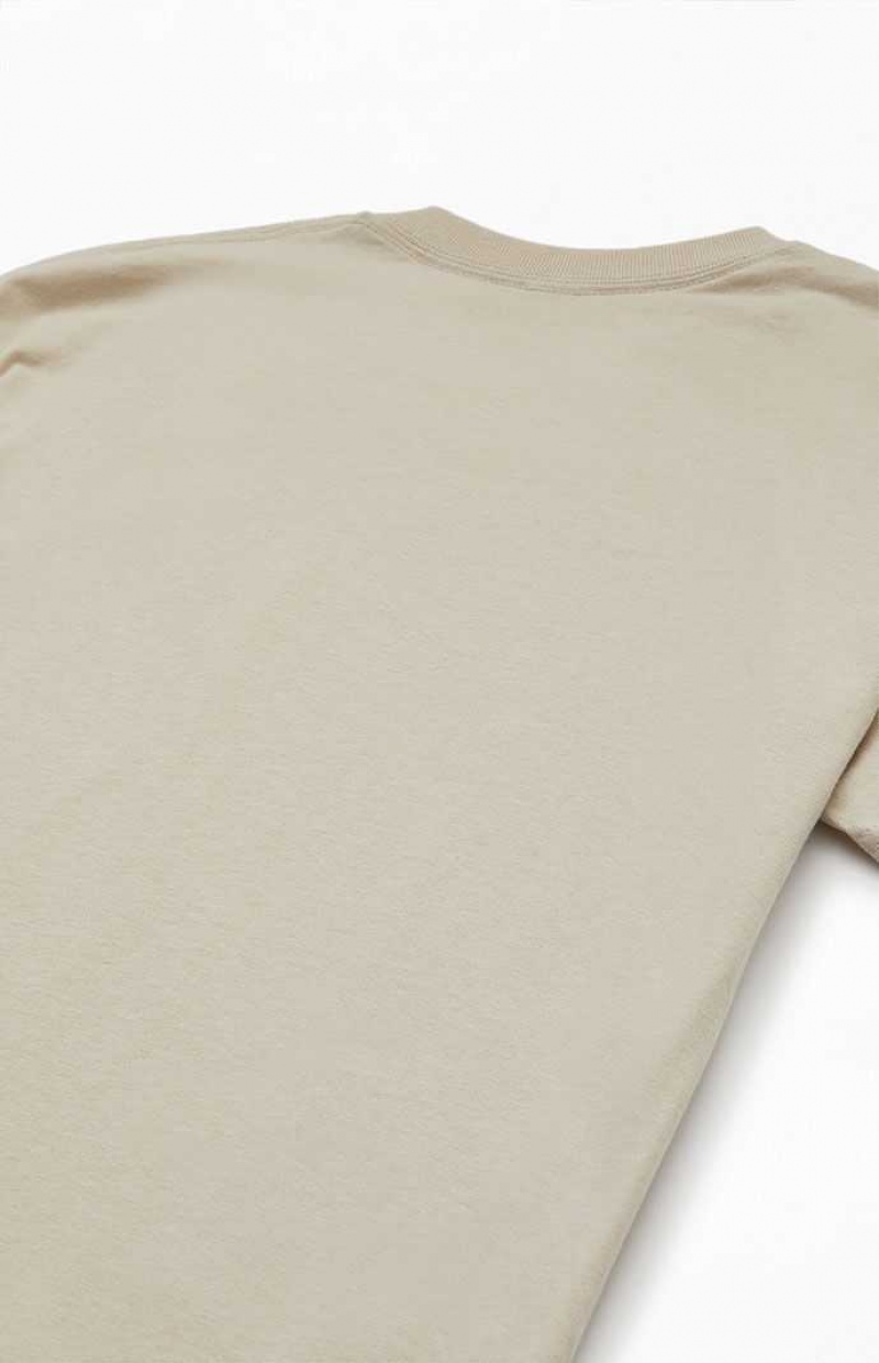 T-shirt PacSun Float On Homme Marron | 182907HSP