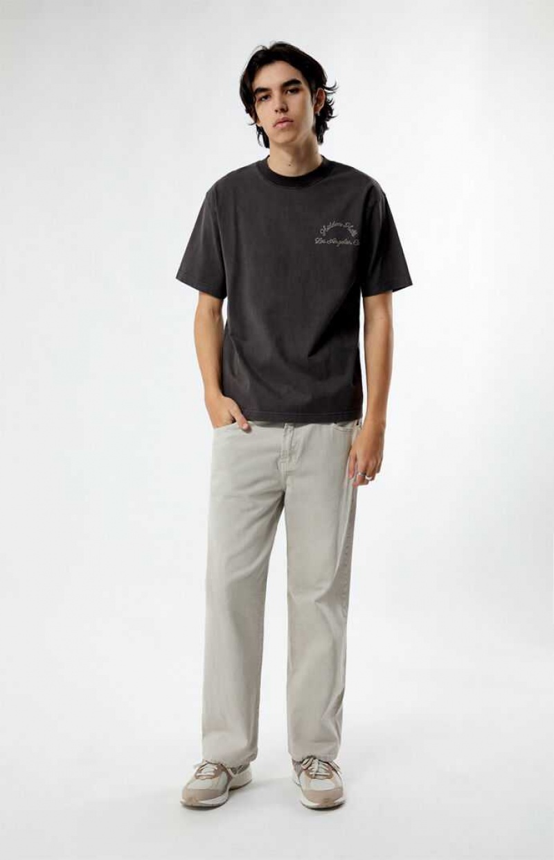 T-shirt PacSun Hidden Hills Stitched Homme ASPHALT | 176924XET