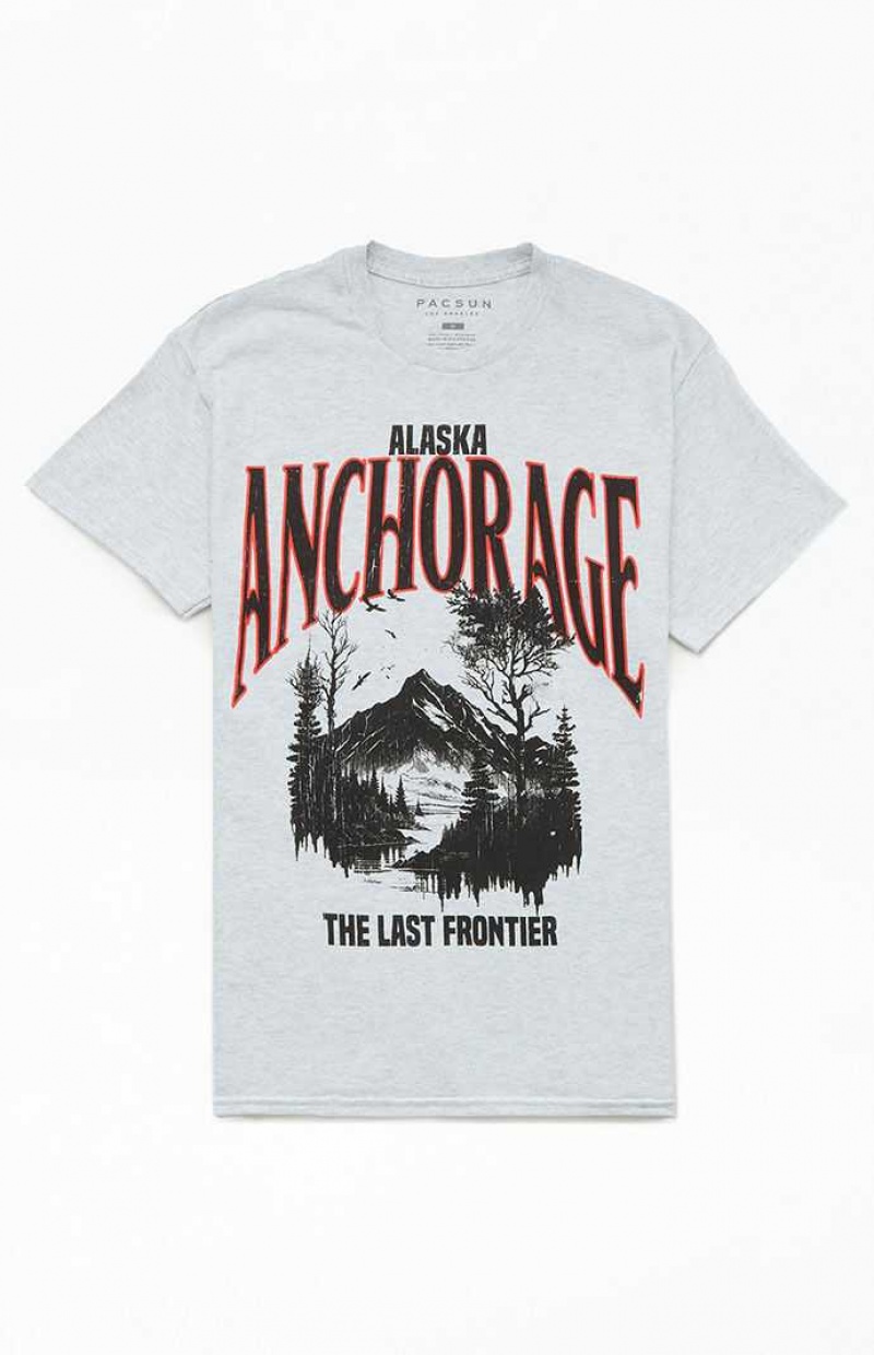 T-shirt PacSun Last Frontier Homme Grise | 839024GBH