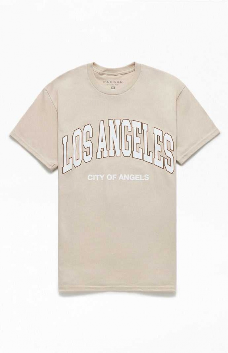 T-shirt PacSun Los Angeles Collegiate Homme Marron | 279561RIO