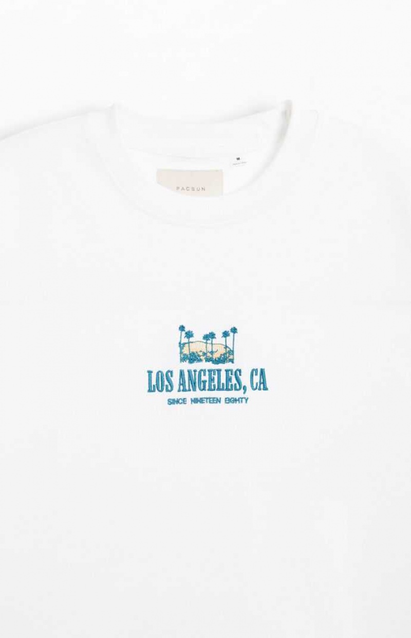 T-shirt PacSun Los Angeles Oversized Terry Homme Blanche | 873204KGB