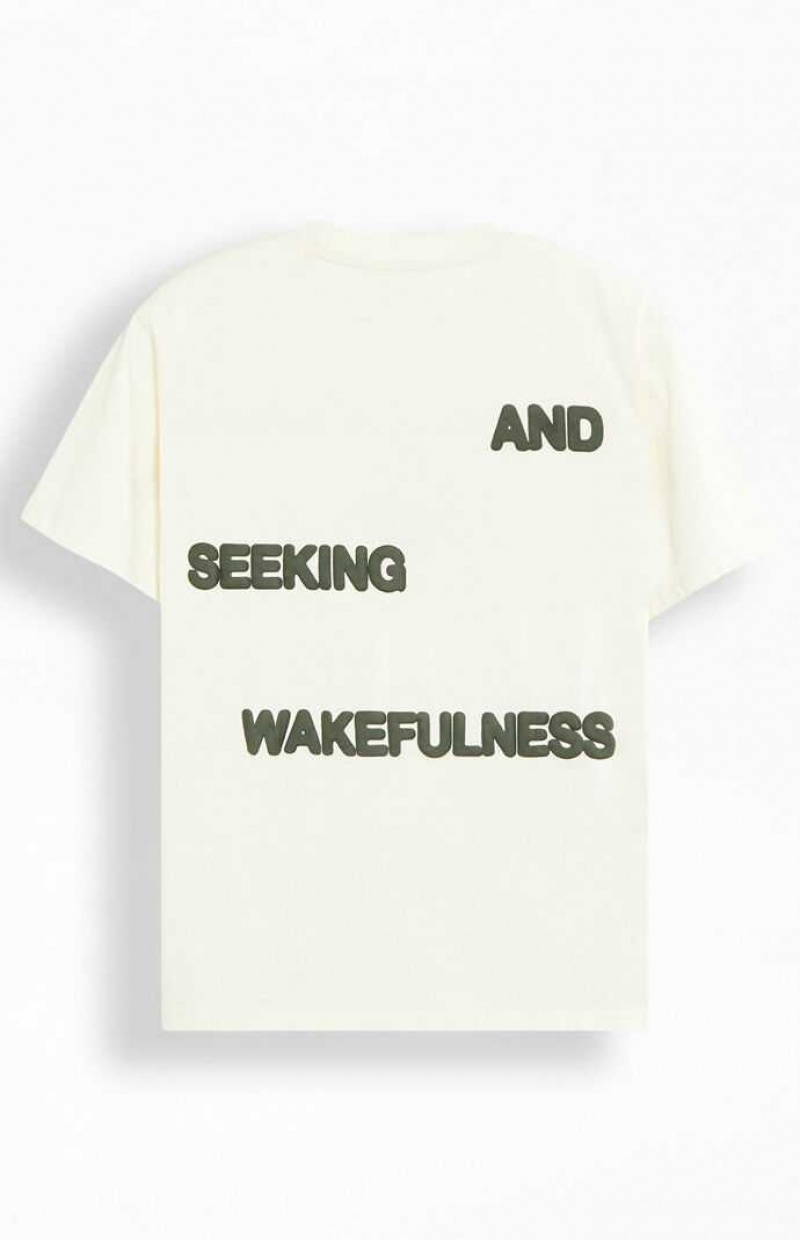 T-shirt PacSun Lost In Dreams Puff Homme Blanche | 562380GEC