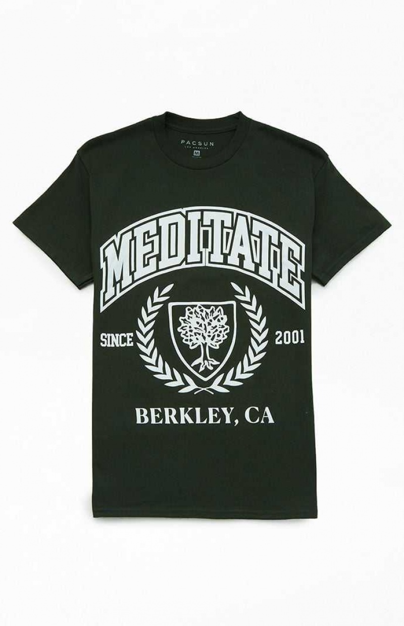 T-shirt PacSun Meditate College Homme Vert | 460813CIV