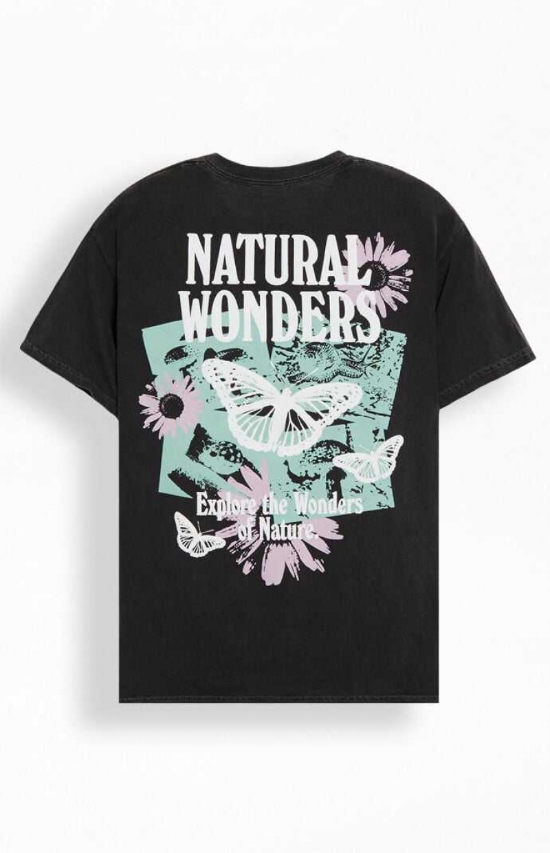 T-shirt PacSun Natural Wonders Homme Noir | 645790AQL