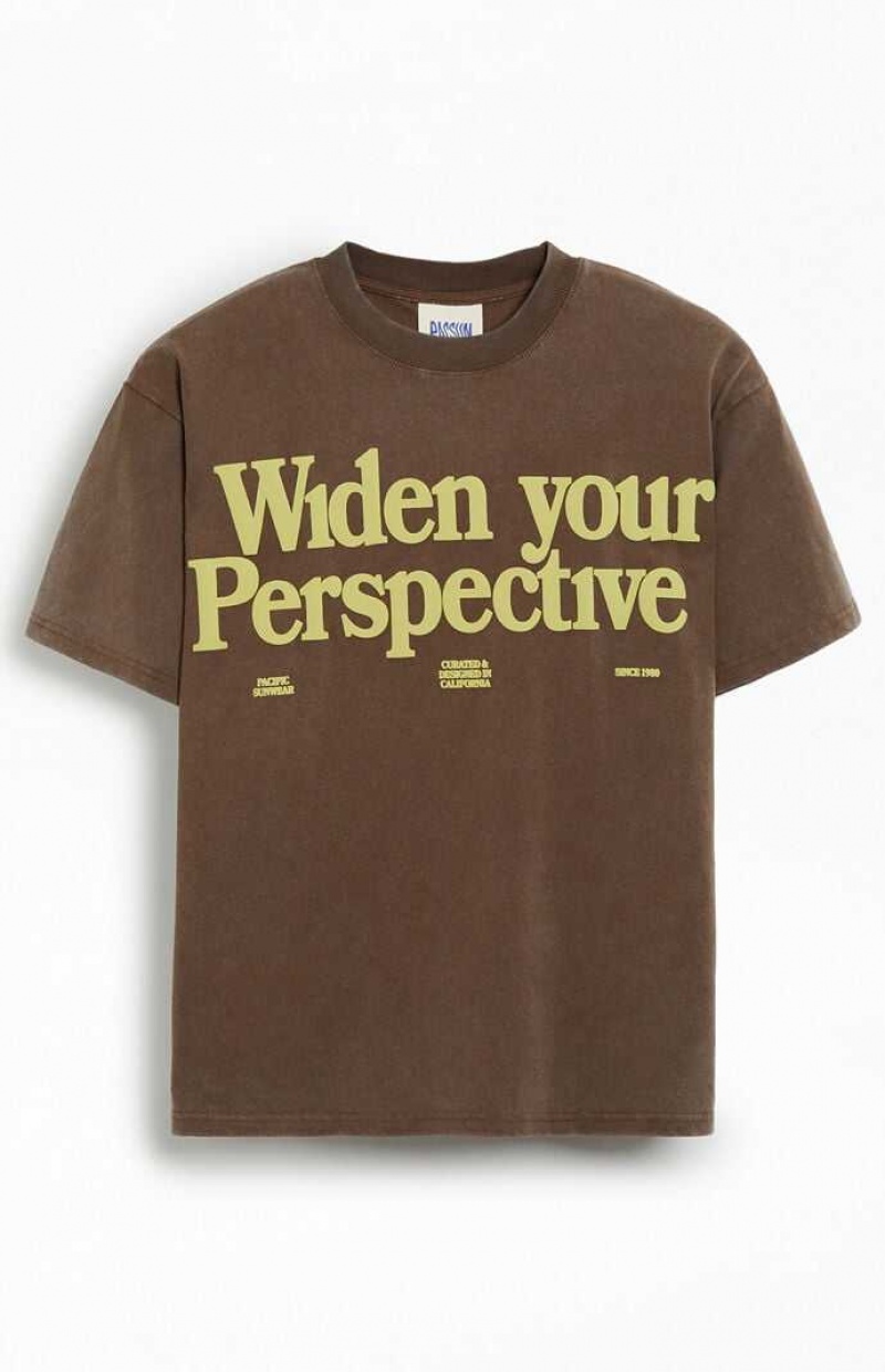 T-shirt PacSun POV Homme Marron | 265871VMW