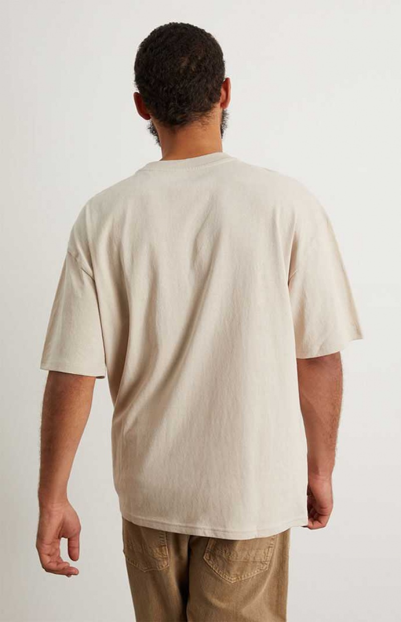 T-shirt PacSun PS Basics Solid Boxy Homme Argent | 364257DHL