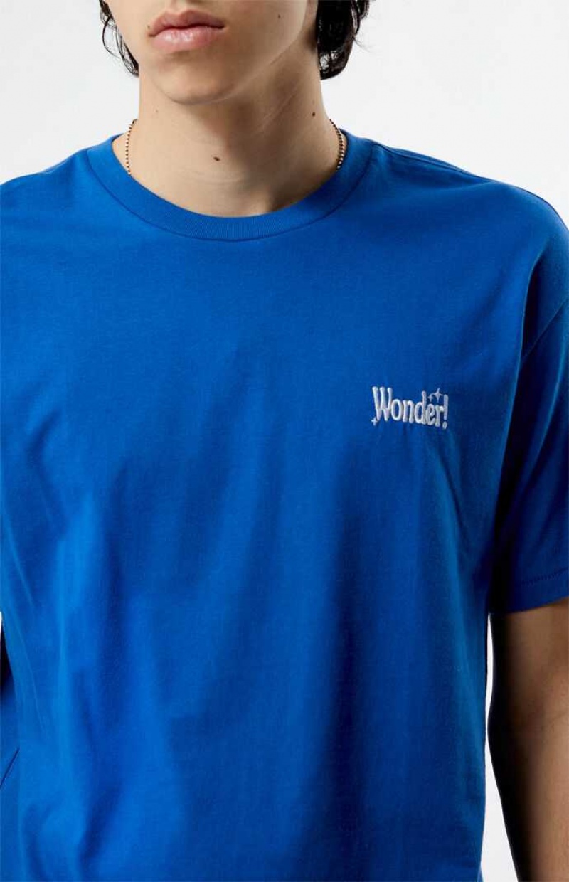 T-shirt PacSun PS Basics Wonder Homme Bleu | 504693GRV