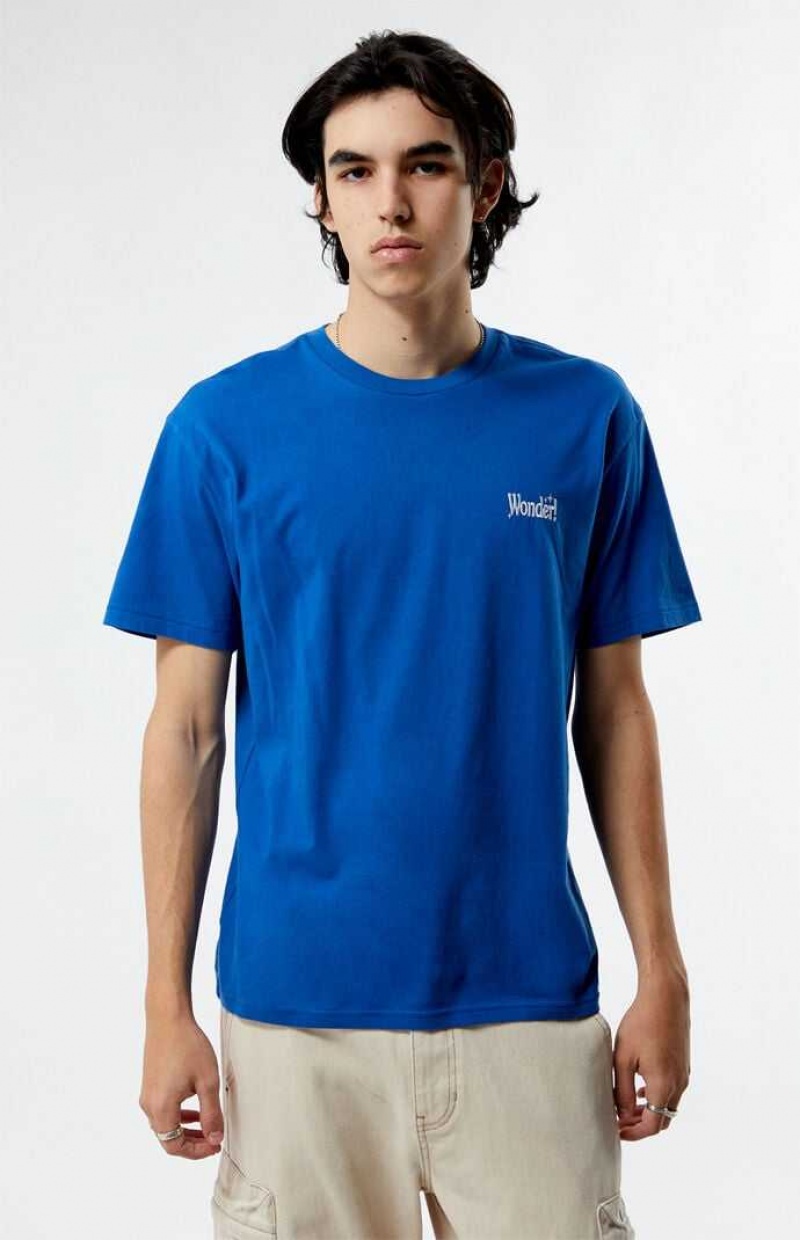 T-shirt PacSun PS Basics Wonder Homme Bleu | 504693GRV