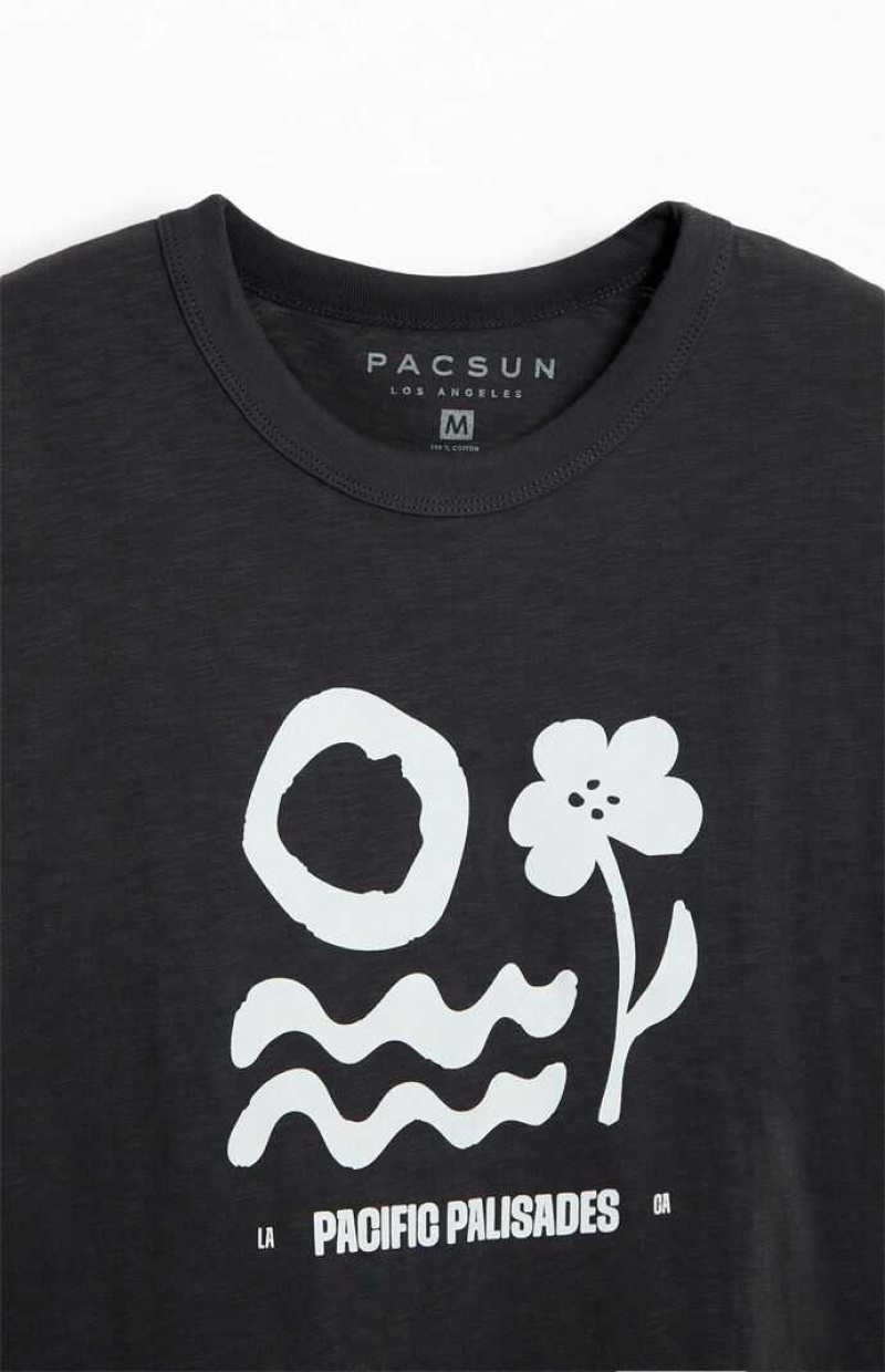 T-shirt PacSun Pacific Palisades Slub Homme Noir | 420136IKR