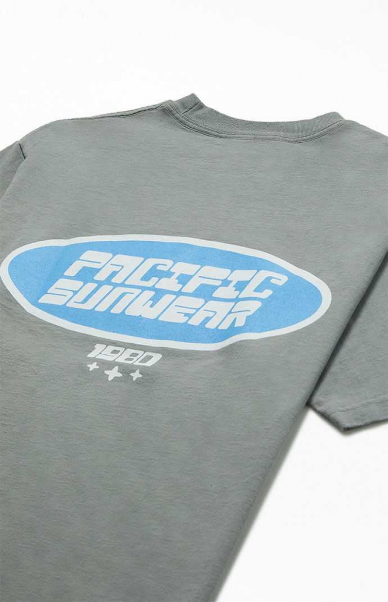 T-shirt PacSun Pacific Sunwear Badge Homme Grise | 079528THO