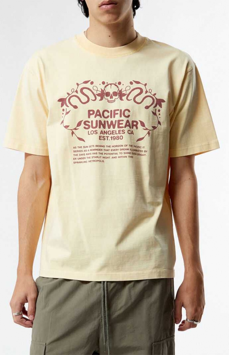 T-shirt PacSun Pacific Sunwear Behind The Horizons Homme Marron | 907538SBY