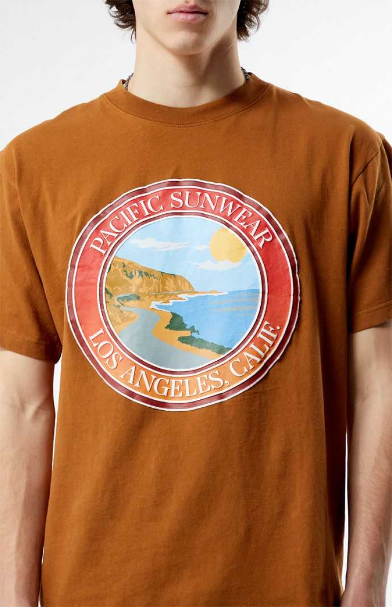 T-shirt PacSun Pacific Sunwear Coastal Homme Marron | 068931MQT