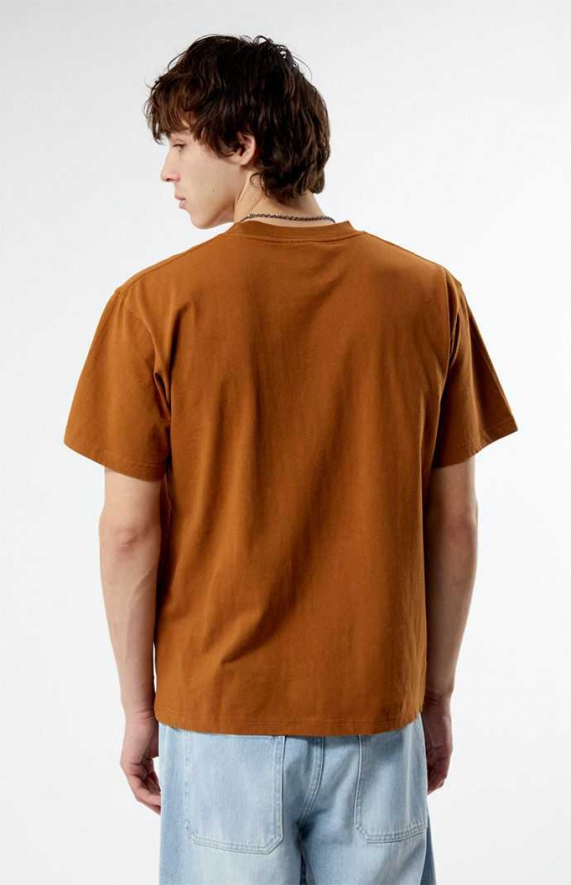 T-shirt PacSun Pacific Sunwear Coastal Homme Marron | 068931MQT