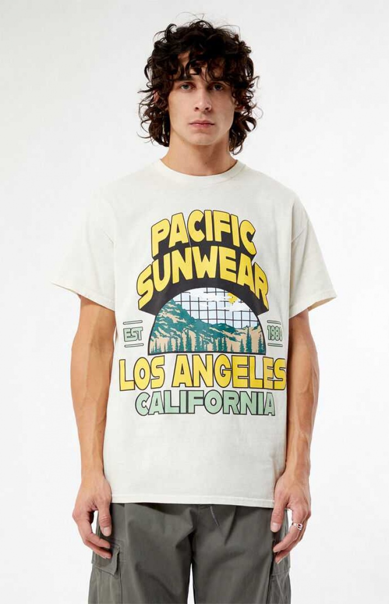 T-shirt PacSun Pacific Sunwear Los Angeles Homme Marron | 860497YHM