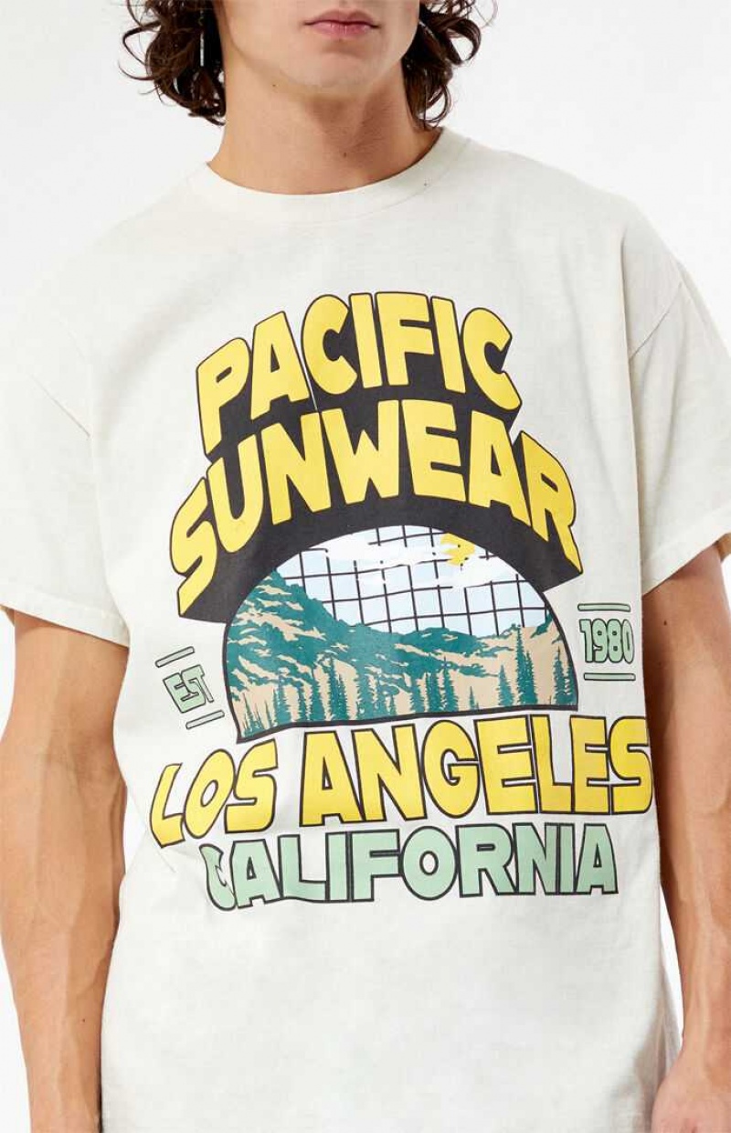 T-shirt PacSun Pacific Sunwear Los Angeles Homme Marron | 860497YHM