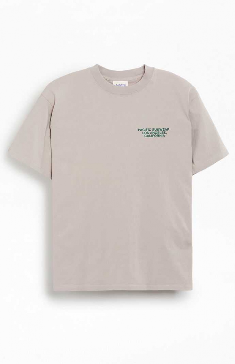 T-shirt PacSun Pacific Sunwear Palms Homme Blanche | 873921XTQ